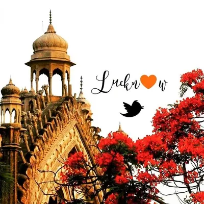 LucknowThroughMyLenses profile