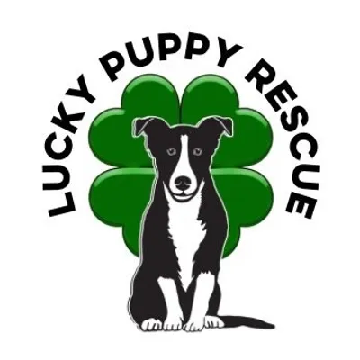 Lucky Puppy Dog Rescue profile