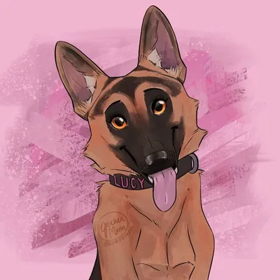 Lucy The German Shepherd profile