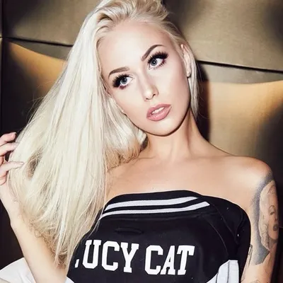 Lucy Cat profile