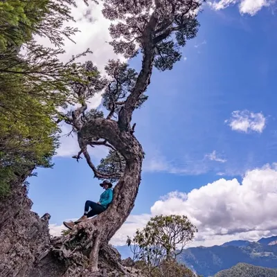 盧嚕嚕|登山 景點 美食 舞蹈 profile