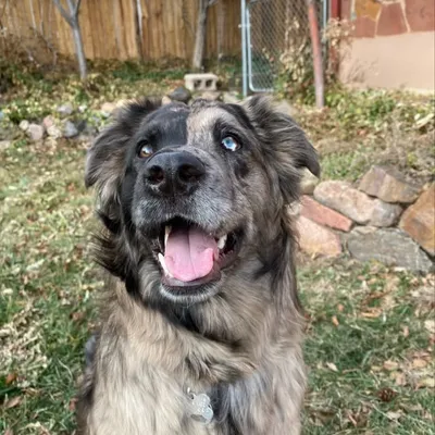 Luna Bella profile