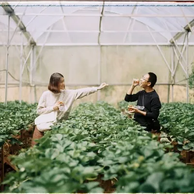 Lương Mạnh Chiến profile