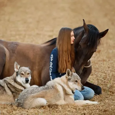 ❀ нєℓℓσ ιм ʝαиα / Jana_wolf123 profile