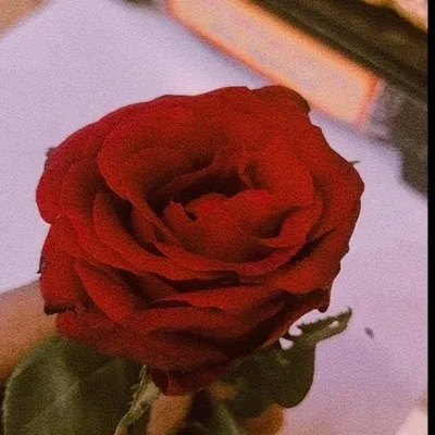 love you always™ profile