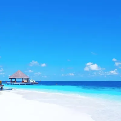 🏝Paradise places of our planet profile