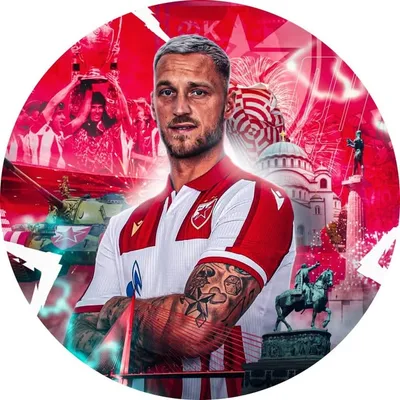 Marko Arnautovic profile