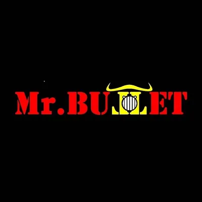 Mr.Bullet profile