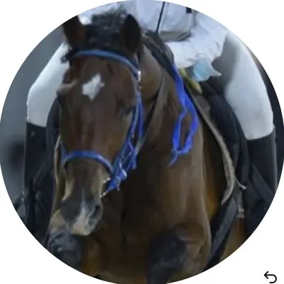 مرام ال عبدالكريم profile