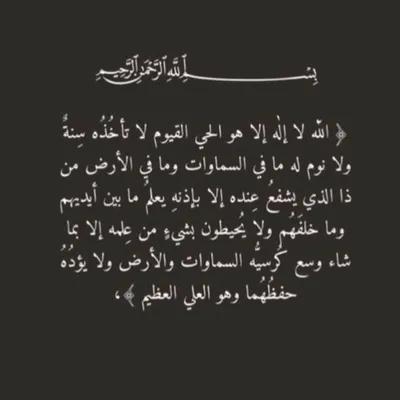 Mr.MOHAMMAD💜 profile