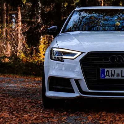 Martin Lofing | Car Enthusiast profile