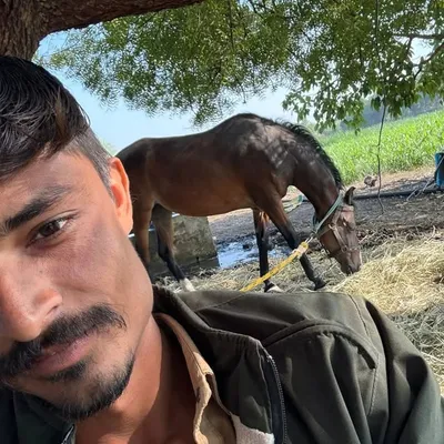M M Gohil profile