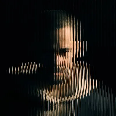 Mike Shinoda profile