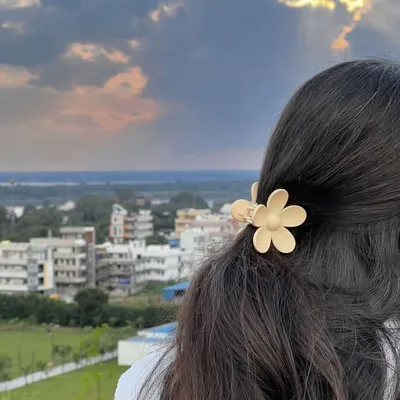 profile