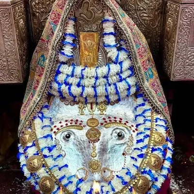 Maani profile