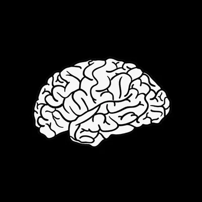 معقول 🧠 profile