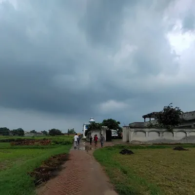 maazk profile