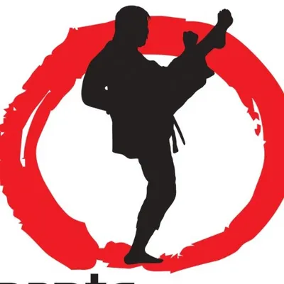 Machida Karate profile