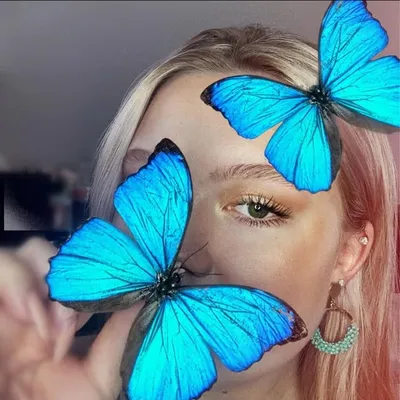 Mackenzies Mariposas profile