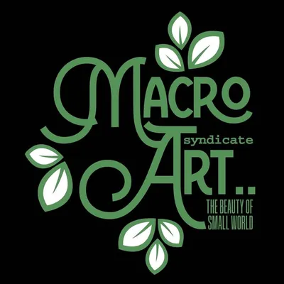 Macro Art Syndicate profile