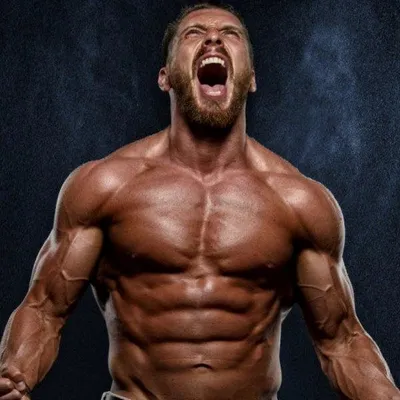 MAD BODYBUILDER profile
