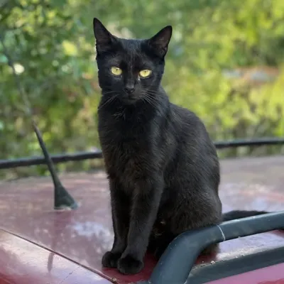 MADDYMURK profile