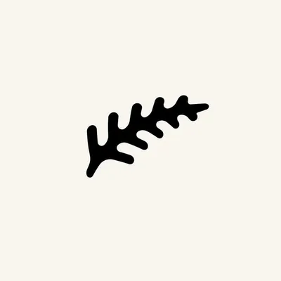 Fern profile