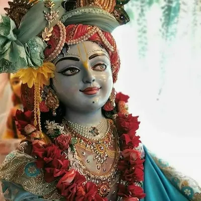 hare krishna❤ profile