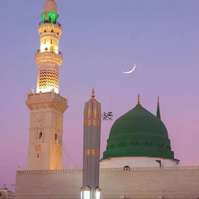 Mohammad Shuaib profile