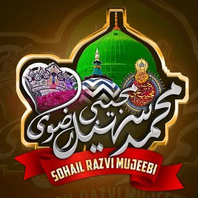˙·٠•●♥ Sohail Razvi ♥●•٠·˙ profile