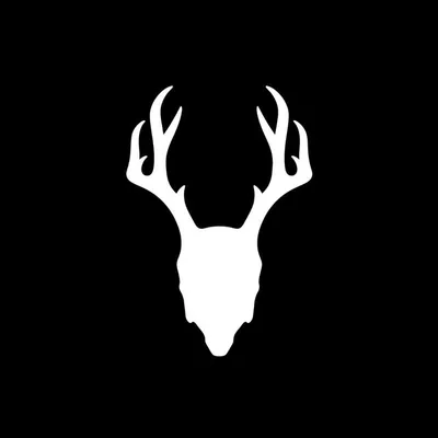 Mad Rabbit profile
