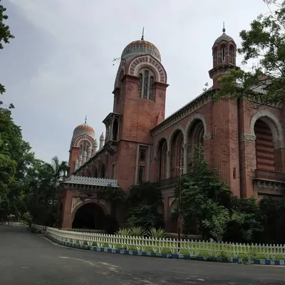 madrascurrytours profile