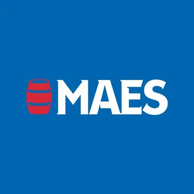 Maes Pils profile