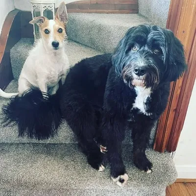 Brother & Sister ♡ profile