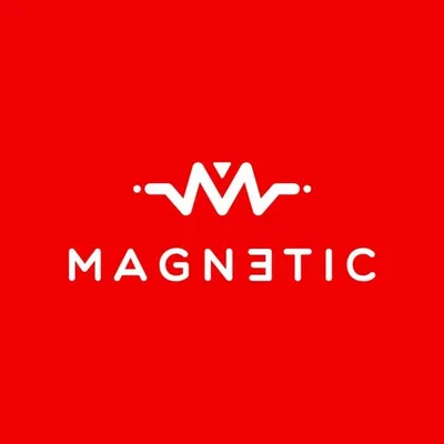Magnetic profile