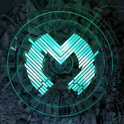 Magnetic Festival profile