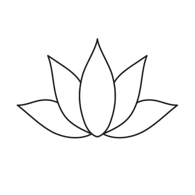 Magnolia Wellness profile