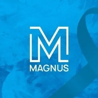 Magnus Assessoria Contábil profile