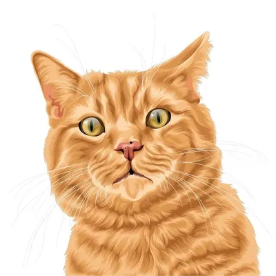 Magnus The Orange profile