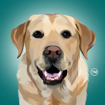 Magnus The Therapy Dog profile