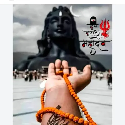ankit profile