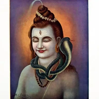 Shivaanugaamee profile