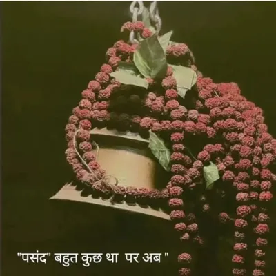 Manjil ka musafir profile