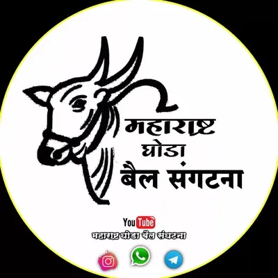 👑.महाराष्ट्र घोडा बैल संघटना.👑 profile
