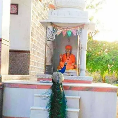 mahipal singh Rajput profile