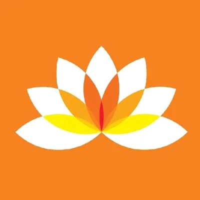 Pioneers of One minute sarees profile