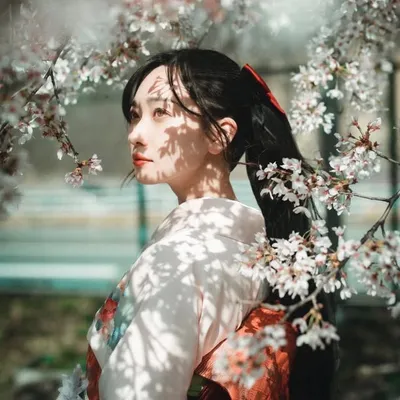 ๐ฏ๐ต ็ๆ / Mai profile