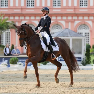 Maike Mende profile