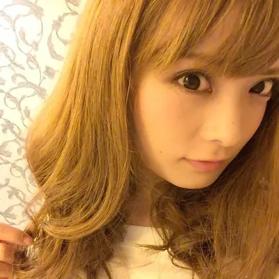 まいなん(・ω・) profile