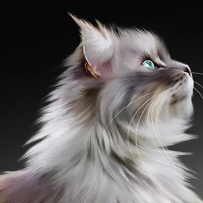 Maine Coon House profile